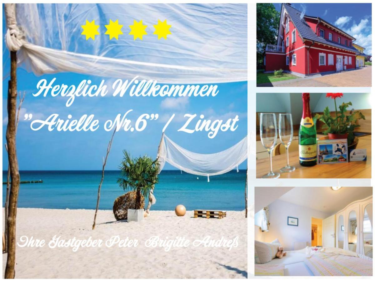 Arielle Nr 6 - Fuer Die Schoenste Zeit Des Jahres - Zingst Dış mekan fotoğraf